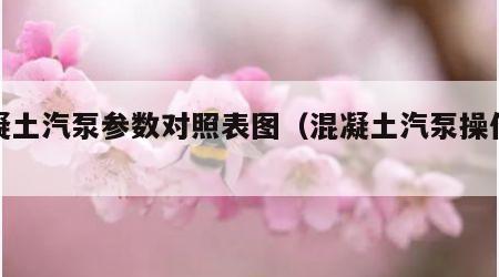 混凝土汽泵参数对照表图（混凝土汽泵操作手）