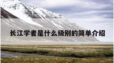 长江学者是什么级别的简单介绍