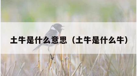 土牛是什么意思（土牛是什么牛）