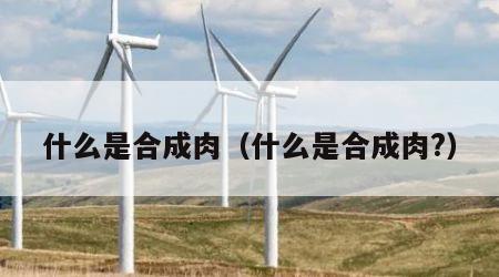 什么是合成肉（什么是合成肉?）