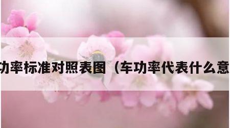 车功率标准对照表图（车功率代表什么意思）