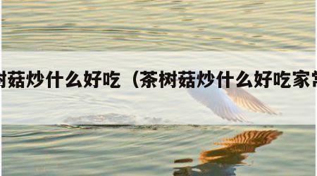 茶树菇炒什么好吃（茶树菇炒什么好吃家常菜）