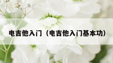 电吉他入门（电吉他入门基本功）