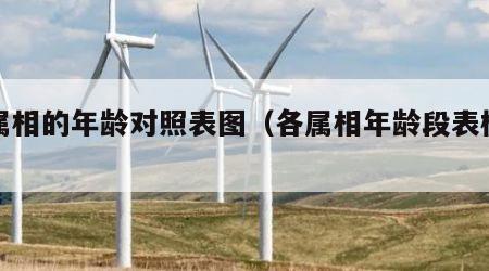 各属相的年龄对照表图（各属相年龄段表格有吗）