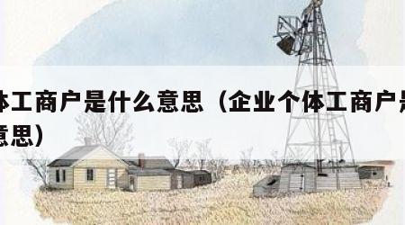 个体工商户是什么意思（企业个体工商户是什么意思）