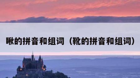 瞅的拼音和组词（靴的拼音和组词）