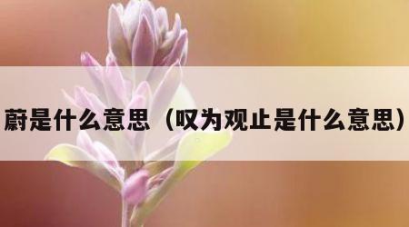 蔚是什么意思（叹为观止是什么意思）