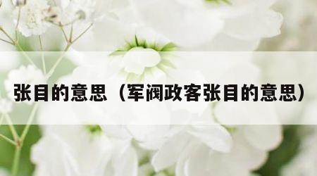 张目的意思（军阀政客张目的意思）