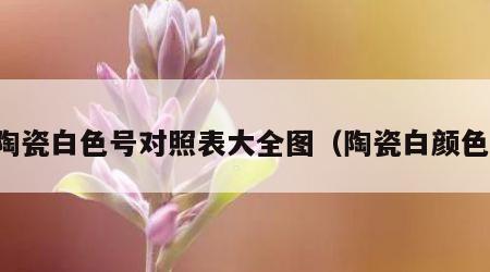 陶瓷白色号对照表大全图（陶瓷白颜色）