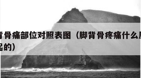 脚背骨痛部位对照表图（脚背骨疼痛什么原因引起的）