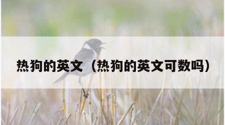 热狗的英文（热狗的英文可数吗）