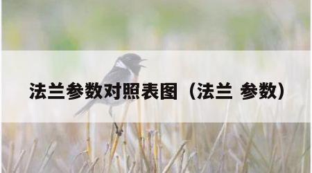 法兰参数对照表图（法兰 参数）