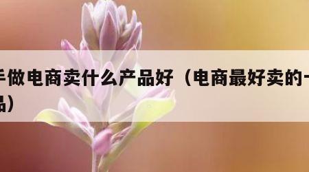 新手做电商卖什么产品好（电商最好卖的十大产品）