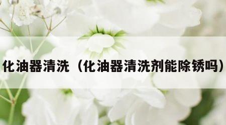 化油器清洗（化油器清洗剂能除锈吗）