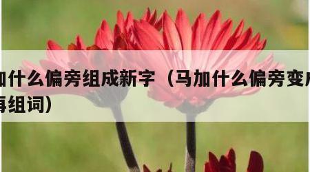 马加什么偏旁组成新字（马加什么偏旁变成新字再组词）