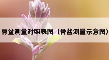 骨盆测量对照表图（骨盆测量示意图）