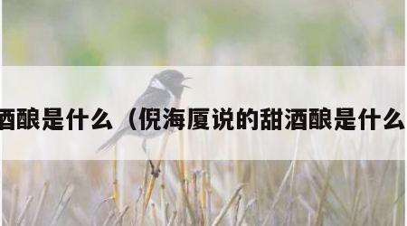 酒酿是什么（倪海厦说的甜酒酿是什么）