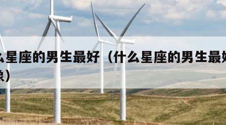 什么星座的男生最好（什么星座的男生最好找对象）