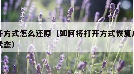打开方式怎么还原（如何将打开方式恢复成初始状态）