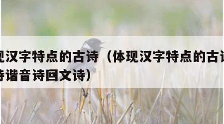 体现汉字特点的古诗（体现汉字特点的古诗藏头诗谐音诗回文诗）