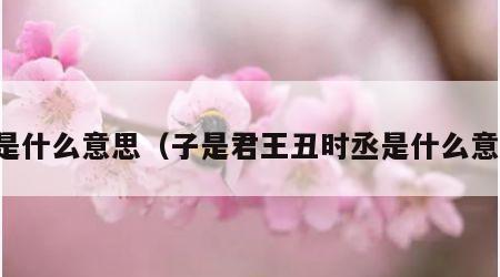 丞是什么意思（子是君王丑时丞是什么意思）