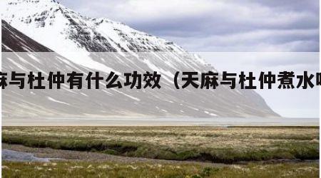 天麻与杜仲有什么功效（天麻与杜仲煮水喝功效）