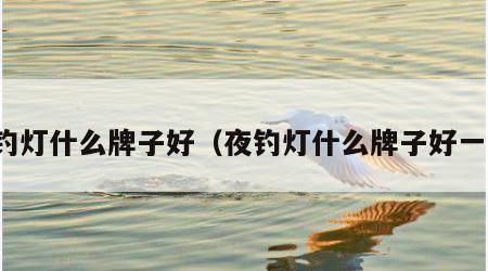 夜钓灯什么牌子好（夜钓灯什么牌子好一点）