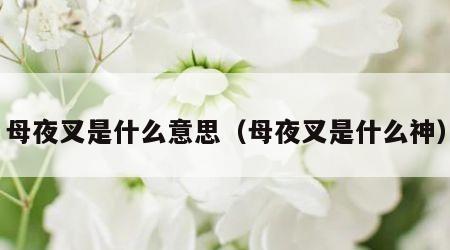 母夜叉是什么意思（母夜叉是什么神）