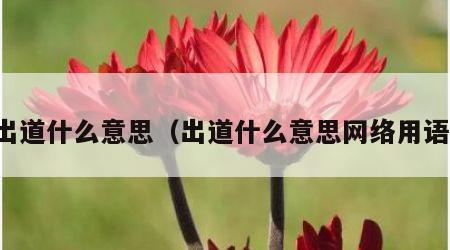出道什么意思（出道什么意思网络用语）