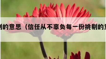 挑剔的意思（信任从不辜负每一份挑剔的意思）