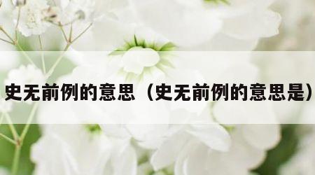 史无前例的意思（史无前例的意思是）