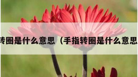 转圈是什么意思（手指转圈是什么意思）