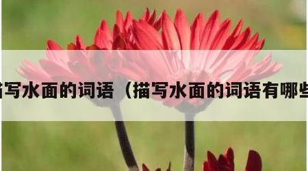 描写水面的词语（描写水面的词语有哪些）