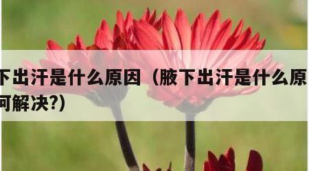 腋下出汗是什么原因（腋下出汗是什么原因?如何解决?）
