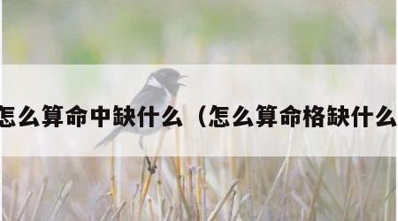 怎么算命中缺什么（怎么算命格缺什么）