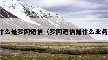 什么是梦网短信（梦网短信是什么业务）