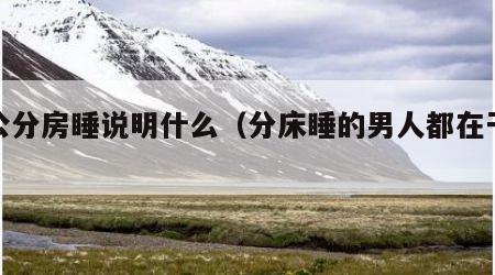 老公分房睡说明什么（分床睡的男人都在干嘛）