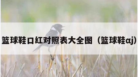 篮球鞋口红对照表大全图（篮球鞋αj）