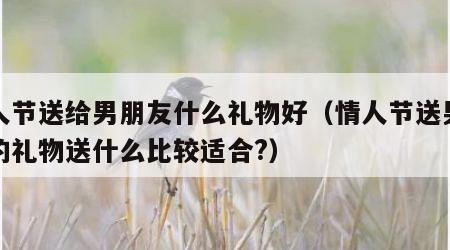 情人节送给男朋友什么礼物好（情人节送男朋友的礼物送什么比较适合?）