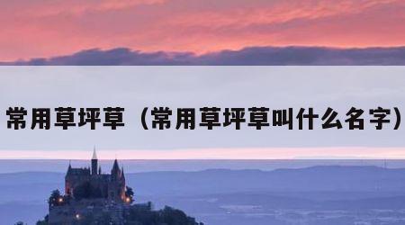常用草坪草（常用草坪草叫什么名字）