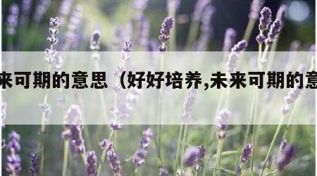 未来可期的意思（好好培养,未来可期的意思）