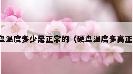 硬盘温度多少是正常的（硬盘温度多高正常）