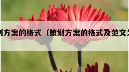 策划方案的格式（策划方案的格式及范文怎么写）