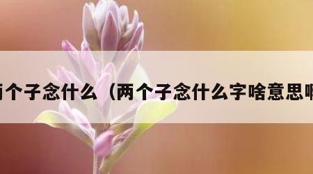 两个子念什么（两个子念什么字啥意思啊）