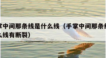 手掌中间那条线是什么线（手掌中间那条线是什么线有断裂）