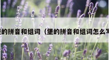 堡的拼音和组词（堡的拼音和组词怎么写）