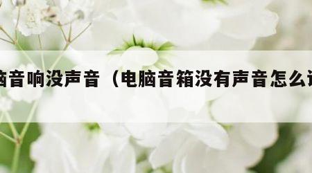 电脑音响没声音（电脑音箱没有声音怎么设置）