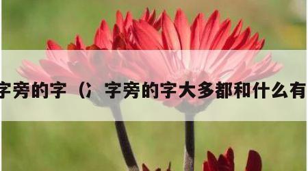 冫字旁的字（冫字旁的字大多都和什么有关）