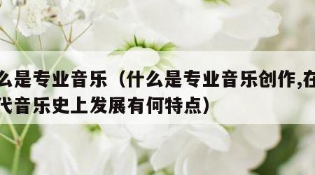 什么是专业音乐（什么是专业音乐创作,在近现代音乐史上发展有何特点）