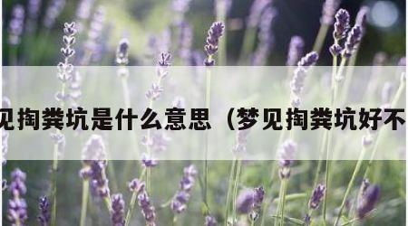 梦见掏粪坑是什么意思（梦见掏粪坑好不好）
